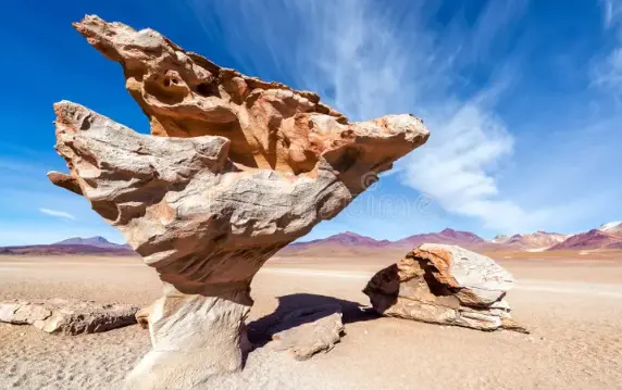 Stone Tree